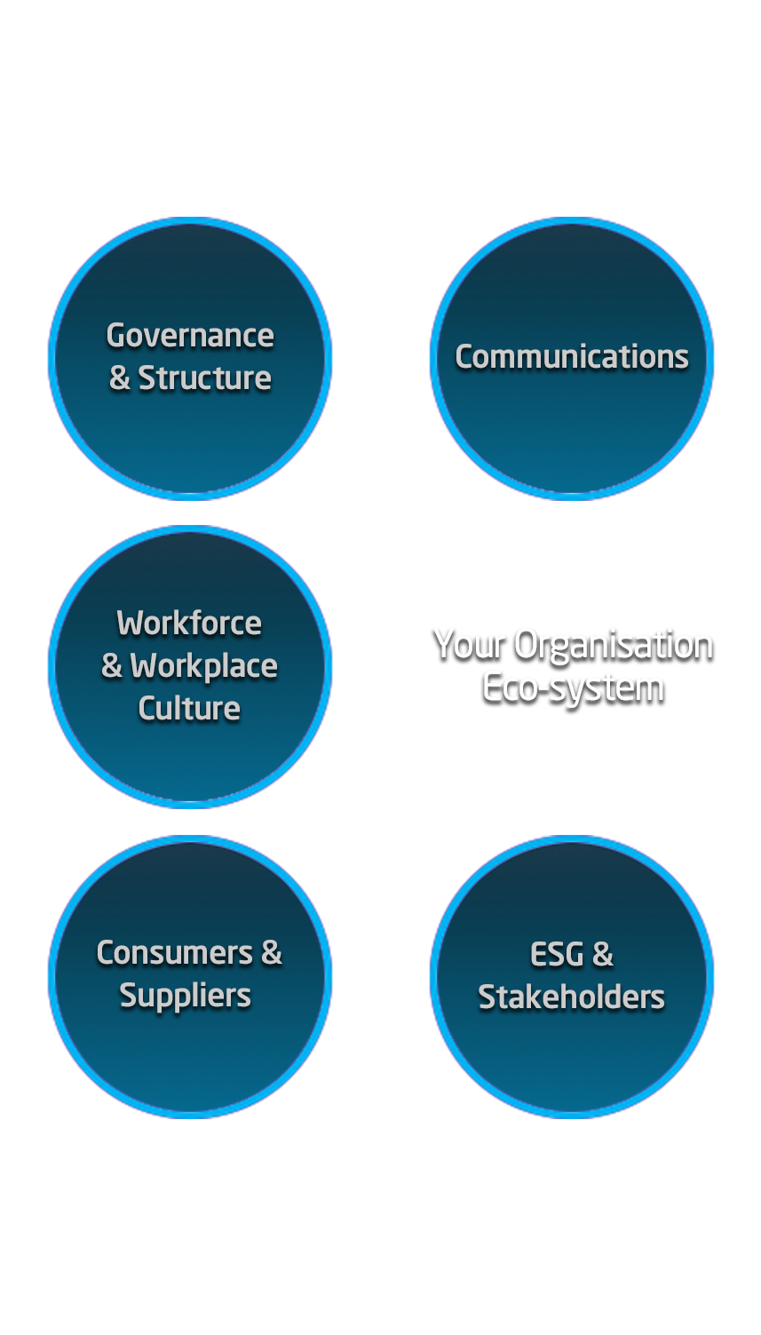 Your Organisation Eco-system